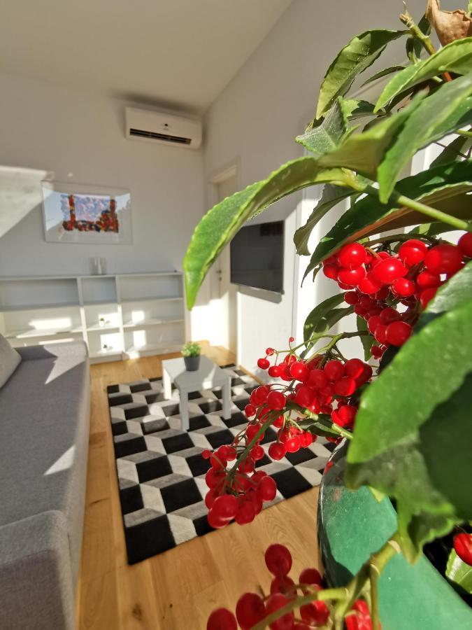 Apartmaji Egis Koper Exterior photo